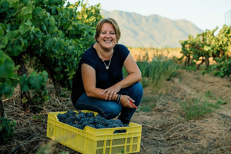 christa-von-la-chevallerie-huis-van-chevallerie-wines hr consulting services